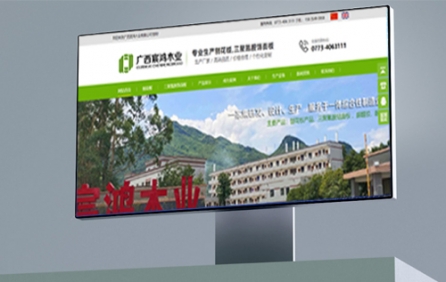 廣西宸鴻木業(yè)網(wǎng)站建設(shè)